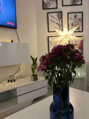 Télévision ou salle de divertissement dans l'établissement Appartement T2 cosy et lumineux au cœur de Paris12