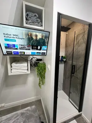 Télévision ou salle de divertissement dans l'établissement PARIS BASTILLE BERCY GARE DE LYON CHAMBRE CLIMATISEE 9m2 idéal 1 pers ,max 2 pers
