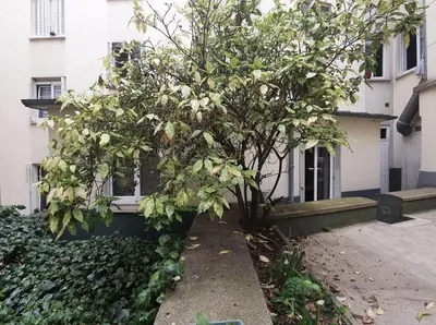 Jardin de l'établissement Paris Montmartre, Mairie du 18e