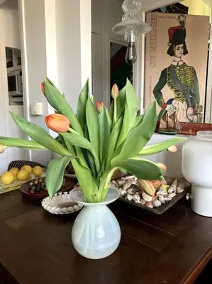 Nourriture dans l'appartement ou à proximité