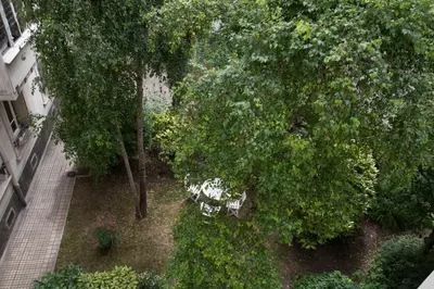 Jardin de l'établissement So Cute 55m2 And Quiet With A Courtyard Garden