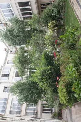 Jardin de l'établissement So Cute 55m2 And Quiet With A Courtyard Garden