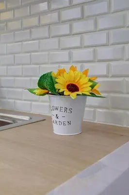 Plan de l'établissement 408 Suite Montorgueil - Superbe Studio à Paris
