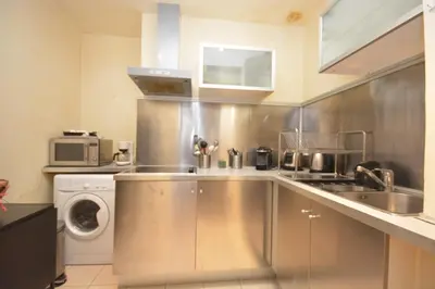 Cuisine ou kitchenette dans l'établissement Studio Saint Germain