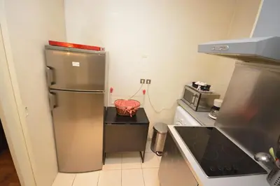 Cuisine ou kitchenette dans l'établissement Studio Saint Germain