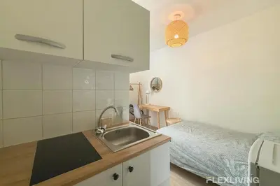 Cuisine ou kitchenette dans l'établissement Flexliving - Lovely studio near Jardin des Plantes
