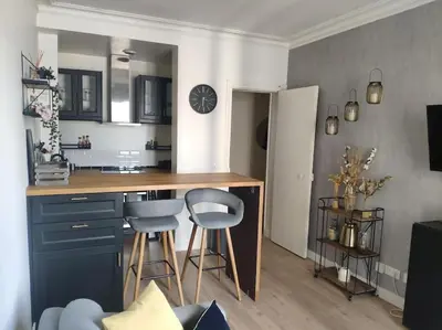 Cuisine ou kitchenette dans l'établissement Charmant deux pièces moderne