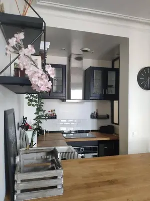 Cuisine ou kitchenette dans l'établissement Charmant deux pièces moderne