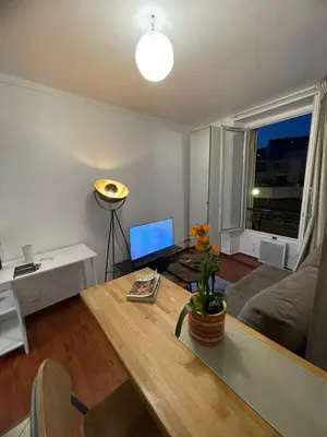 Télévision ou salle de divertissement dans l'établissement Cozy Parisian Flat in 15th Arr