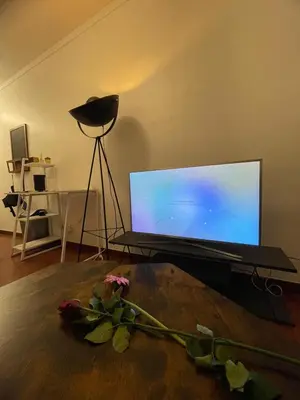 Télévision ou salle de divertissement dans l'établissement Cozy Parisian Flat in 15th Arr