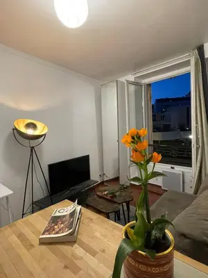 Télévision ou salle de divertissement dans l'établissement Cozy Parisian Flat in 15th Arr