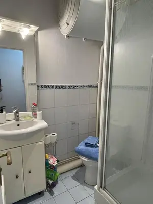 Salle de bains dans l'établissement Cozy Parisian Flat in 15th Arr