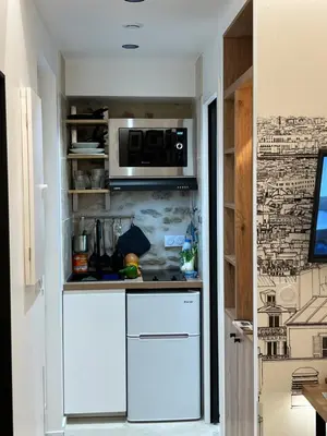 Cuisine ou kitchenette dans l'établissement Studios Clouet-Paris Centre- XVe!