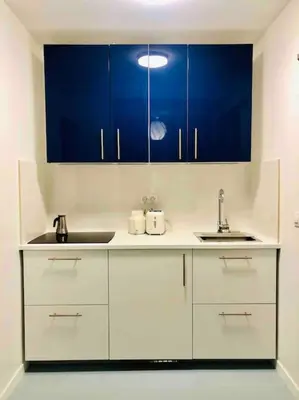 Cuisine ou kitchenette dans l'établissement STUDIO, 11, parc de Belleville