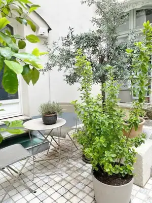 Jardin de l'établissement Contemporary apartment 150 meters from Place Victor Hugo Paris 16