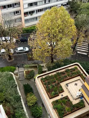 Jardin de l'établissement Appartement lumineux 46m2 20e