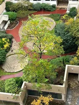 Jardin de l'établissement Appartement lumineux 46m2 20e