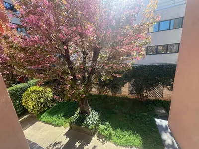 Jardin de l'établissement Maison Paris