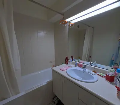 Salle de bains dans l'établissement Superbe appartement Paris Courbevoie La Défense