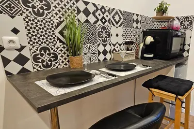 Cuisine ou kitchenette dans l'établissement Appartement Paris Mangin