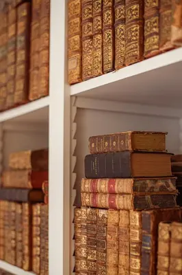 Bibliothèque dans l'appartement