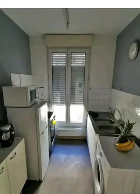 Cuisine ou kitchenette dans l'établissement appartement cosy porte de Paris