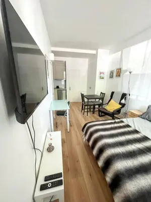 Télévision ou salle de divertissement dans l'établissement Studio de charme à Montrouge - 20 m² - Internet inclus
