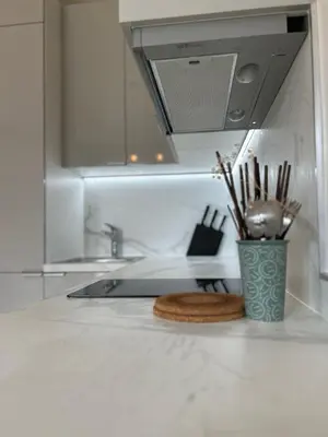 Cuisine ou kitchenette dans l'établissement Spacious apartment near Eiffel Grenelle F2