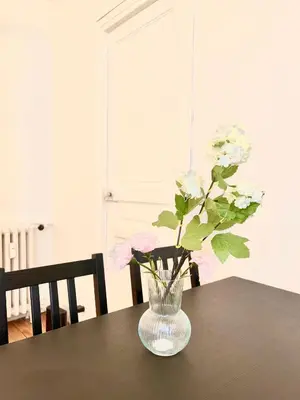 Plan de l'établissement Spacious flat near Montparnasse Bausset 4th