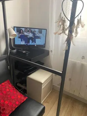 Télévision ou salle de divertissement dans l'établissement Petit Nid à Paris