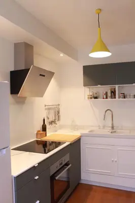 Cuisine ou kitchenette dans l'établissement Appartement dans le Marais
