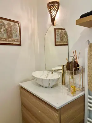 Plan de l'établissement Appt de charme - Paris 15 eme
