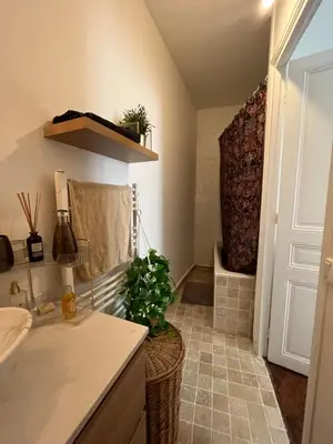 Plan de l'établissement Appt de charme - Paris 15 eme