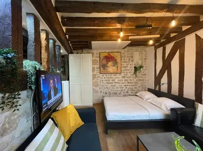 Télévision ou salle de divertissement dans l'établissement Amélie - Authentic 2BR Saint-André des Arts Historic Courtyard