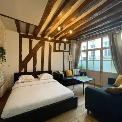 Amélie - Authentic 2BR Saint-André des Arts Historic Courtyard