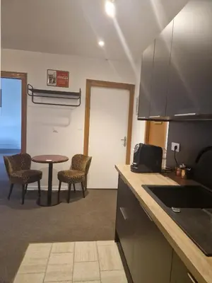 Cuisine ou kitchenette dans l'établissement Le Circus