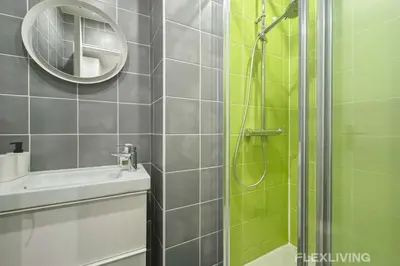 Salle de bains dans l'établissement Flexliving - whole flat - Bonnet
