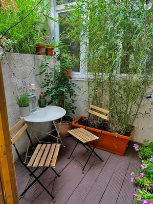 Jardin de l'établissement Charming studio in a courtyard in Paris