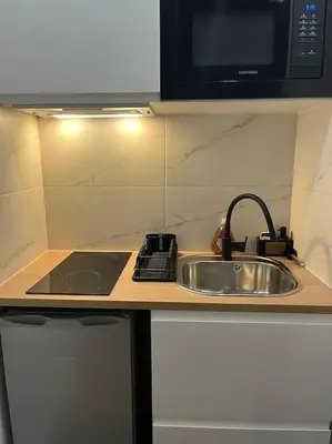 Cuisine ou kitchenette dans l'établissement Charmant Studio aux portes de Paris