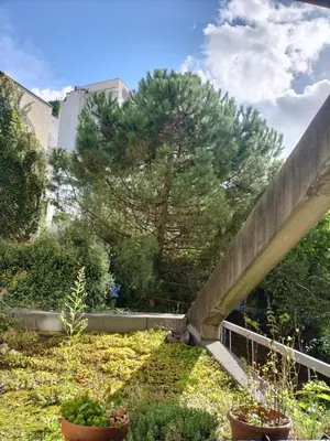 Plan de l'établissement Appartement T3 lumineux et cosy