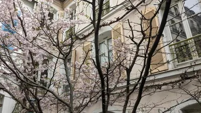 Plan de l'établissement Chambres d'hôtes calmes sur jardin Paris Batignolles
