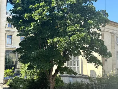 Jardin de l'établissement Joli studio Jardin des Plantes