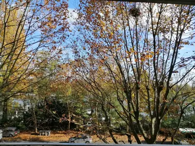 Paysage naturel près de l'appartement