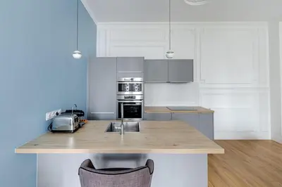 Cuisine ou kitchenette dans l'établissement Newly renovated apt near La Madeleine