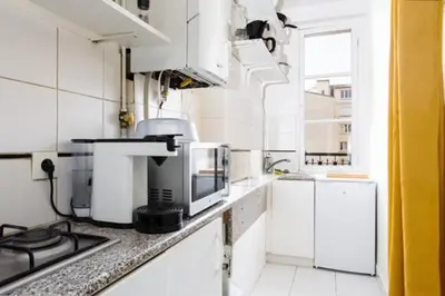 Cuisine ou kitchenette dans l'établissement Appartement Grenelle