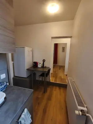 Cuisine ou kitchenette dans l'établissement Un deux pièces et un jardin à Villejuif