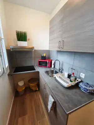 Cuisine ou kitchenette dans l'établissement Un deux pièces et un jardin à Villejuif