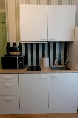 Cuisine ou kitchenette dans l'établissement Charmant appartement Paris 15