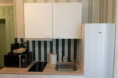 Cuisine ou kitchenette dans l'établissement Charmant appartement Paris 15