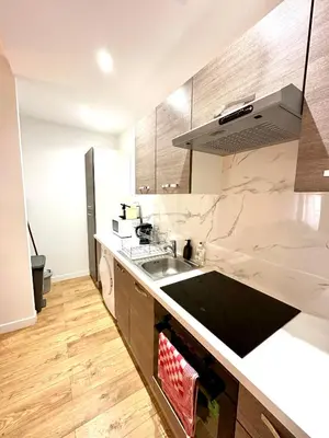 Cuisine ou kitchenette dans l'établissement Refait à Neuf 2 pièces - Paris - tout équipé - Parking